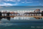 茶杯狐foxcup 官网使用后的直观印象整理：长时间使用后的稳定性与加载表现（新手向）