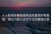 人人影视字幕组使用后的直观印象整理：常见问题与应对方式的整理记录