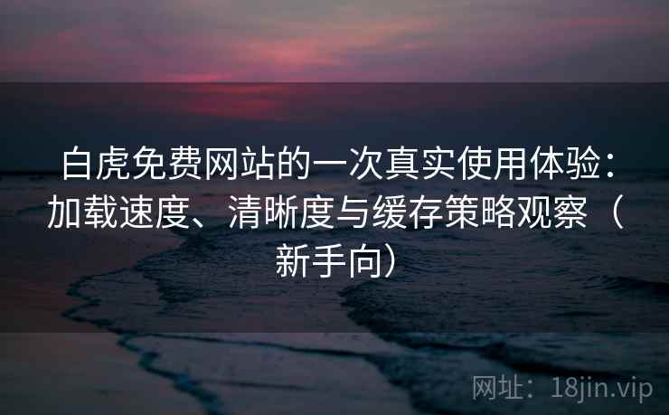 白虎免费网站的一次真实使用体验：加载速度、清晰度与缓存策略观察（新手向）