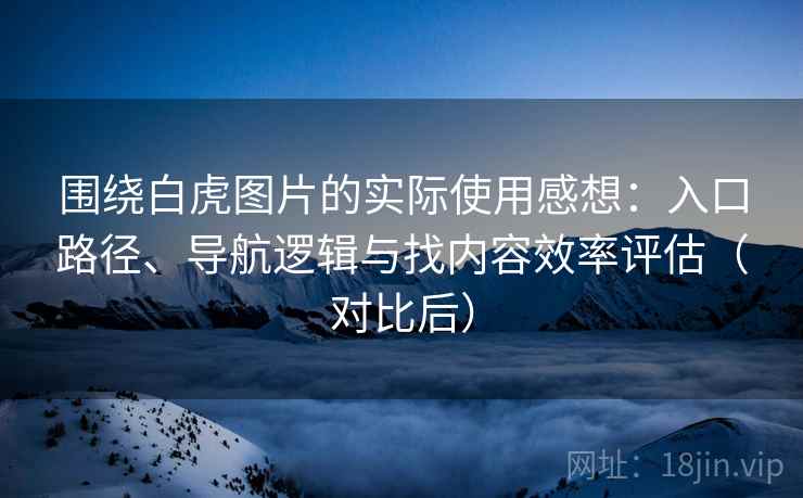 围绕白虎图片的实际使用感想：入口路径、导航逻辑与找内容效率评估（对比后）
