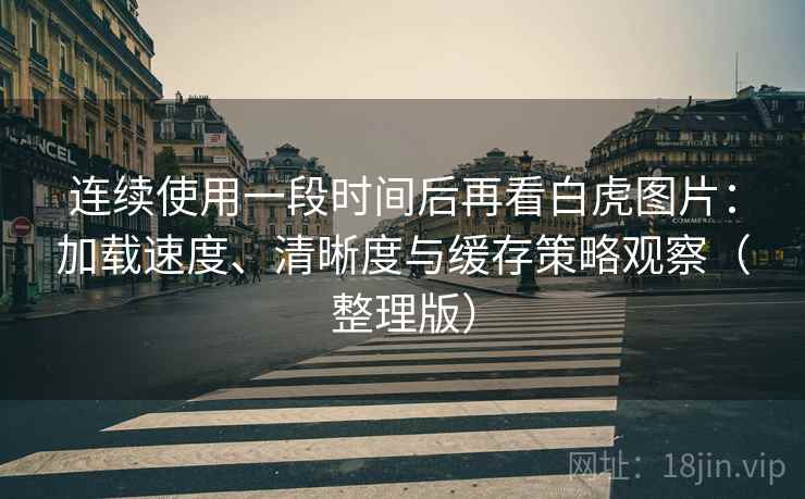 连续使用一段时间后再看白虎图片：加载速度、清晰度与缓存策略观察（整理版）