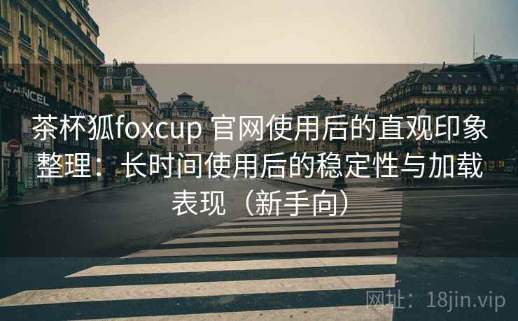 茶杯狐foxcup 官网使用后的直观印象整理：长时间使用后的稳定性与加载表现（新手向）