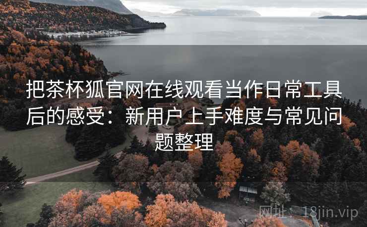 把茶杯狐官网在线观看当作日常工具后的感受：新用户上手难度与常见问题整理