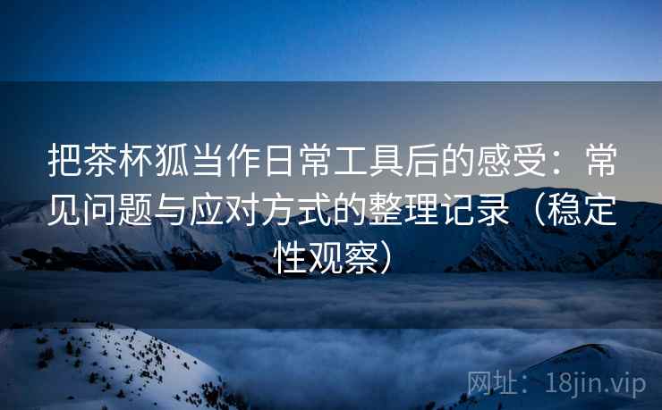 把茶杯狐当作日常工具后的感受：常见问题与应对方式的整理记录（稳定性观察）