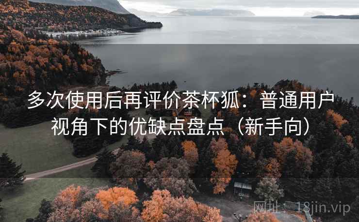 多次使用后再评价茶杯狐：普通用户视角下的优缺点盘点（新手向）
