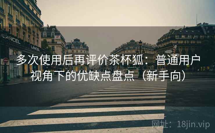 多次使用后再评价茶杯狐：普通用户视角下的优缺点盘点（新手向）
