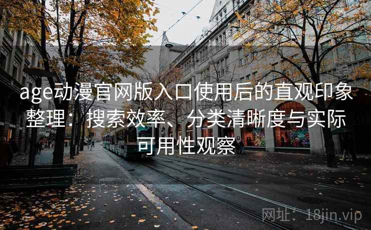 age动漫官网版入口使用后的直观印象整理：搜索效率、分类清晰度与实际可用性观察